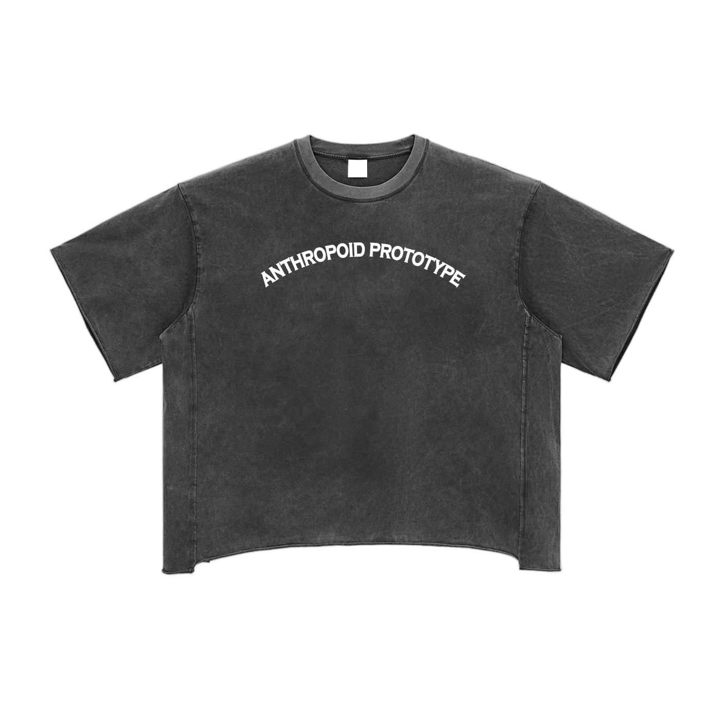 A washed black unisex t-shirt features the white text "ANTHROPOID PROTOTYPE" printed across the chest. It has short, drop shoulder sleeves and a round neck.