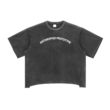 A washed black unisex t-shirt features the white text "ANTHROPOID PROTOTYPE" printed across the chest. It has short, drop shoulder sleeves and a round neck.